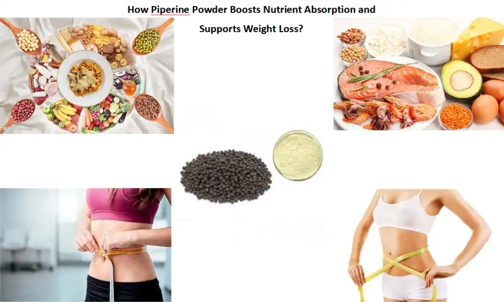 How Piperine Powder Boosts Nutrient Absorption and Supports Weight Loss?